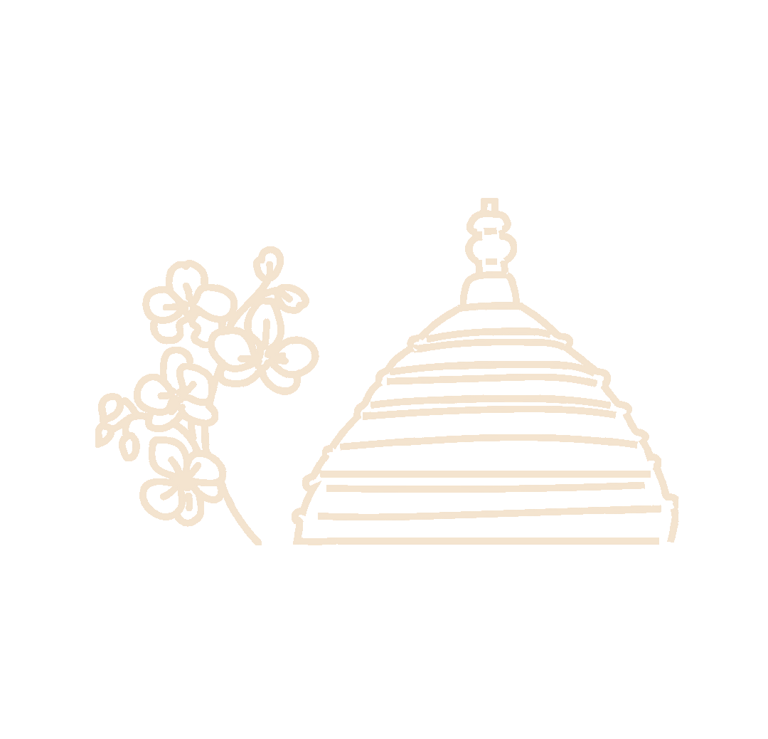 About Us Pattri Journey Into India about-us-pattri-journey-into-india